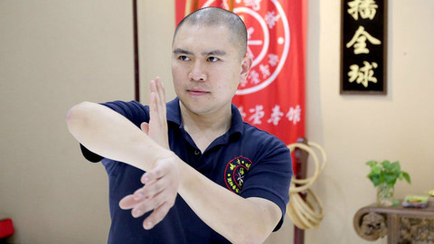 咏春拳小念头之·日字冲拳